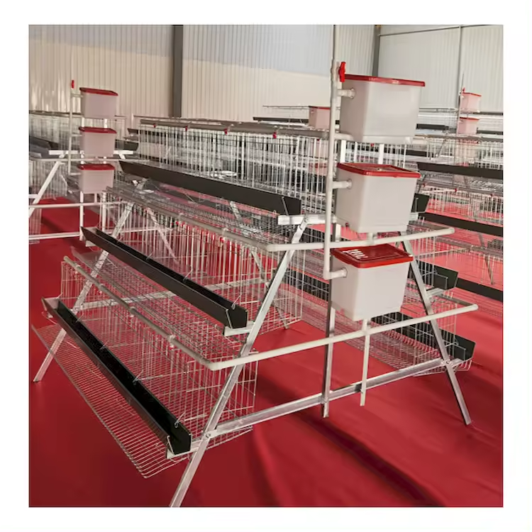 Automatic Poultry Farm Equipment Layer Broiler Battery Farming Cage for Chicken Raising