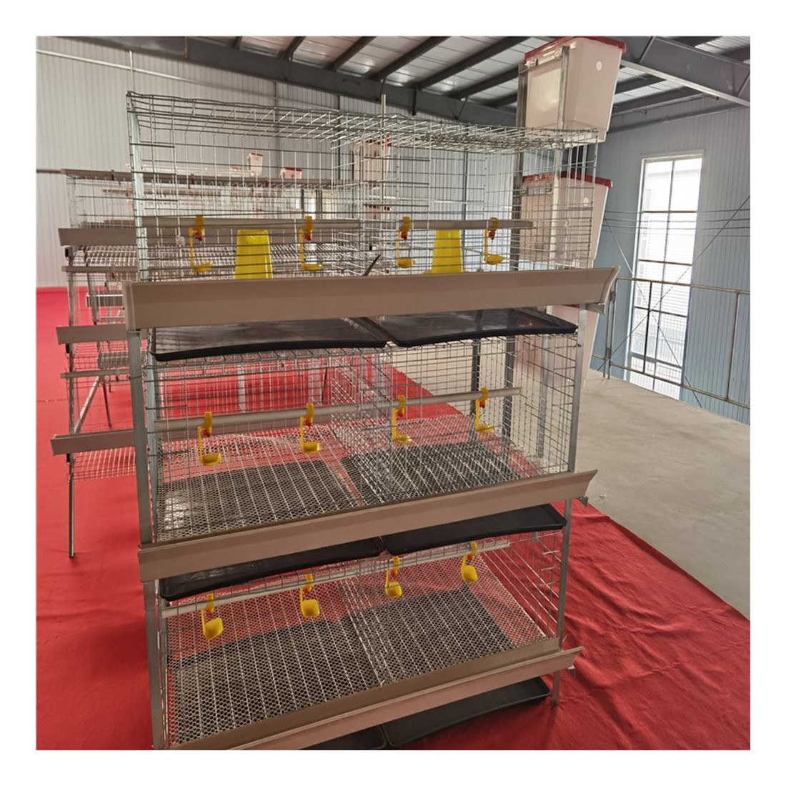 New design chicken cage tray 3 tiers breeds of broiler chicken cage