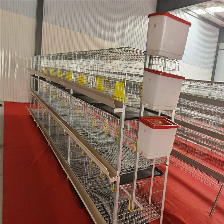 New design chicken cage tray 3 tiers breeds of broiler chicken cage