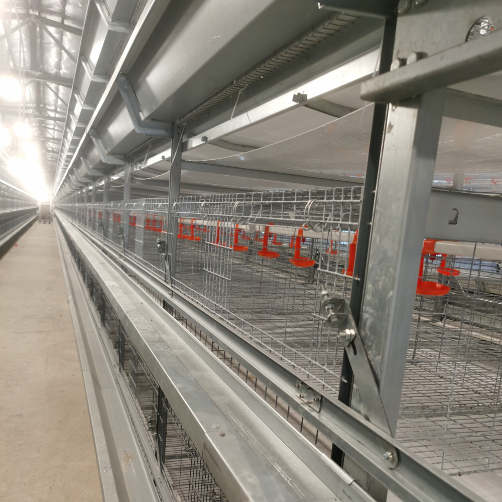 Indonesia Farm Hot Sale Galvanized Brooding Chicken Cage Poultry Layer Baby Chick Coop Cage