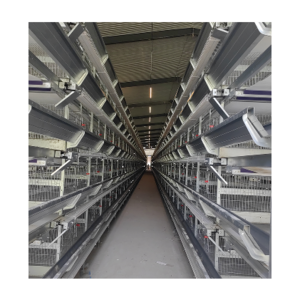 Fully Automated Galvanized Rooster Cage for Poultry Farms Essential Animal Cage Equipment