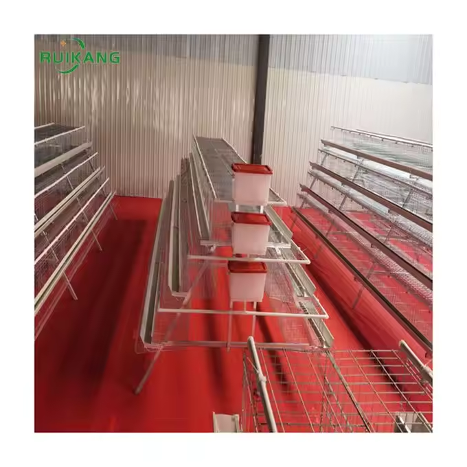 Automatic Poultry Farm Equipment Layer Broiler Battery Farming Cage for Chicken Raising