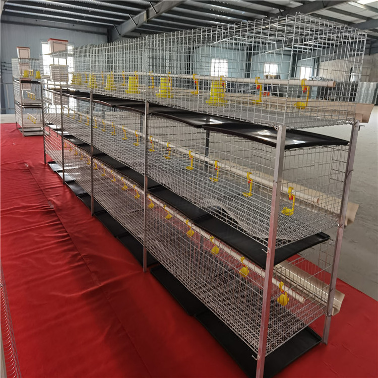 Chicken cages in breeding plants 4 tier chicken brooder cage