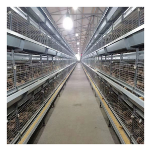 Indonesia Farm Hot Sale Galvanized Brooding Chicken Cage Poultry Layer Baby Chick Coop Cage