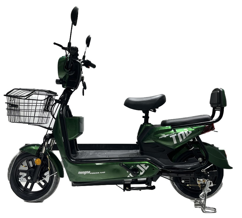 Electric City Bike Motorcycle Dual battery electric bike Enclosed bicycle Electric 1000w 500W 800W High-power electric bike