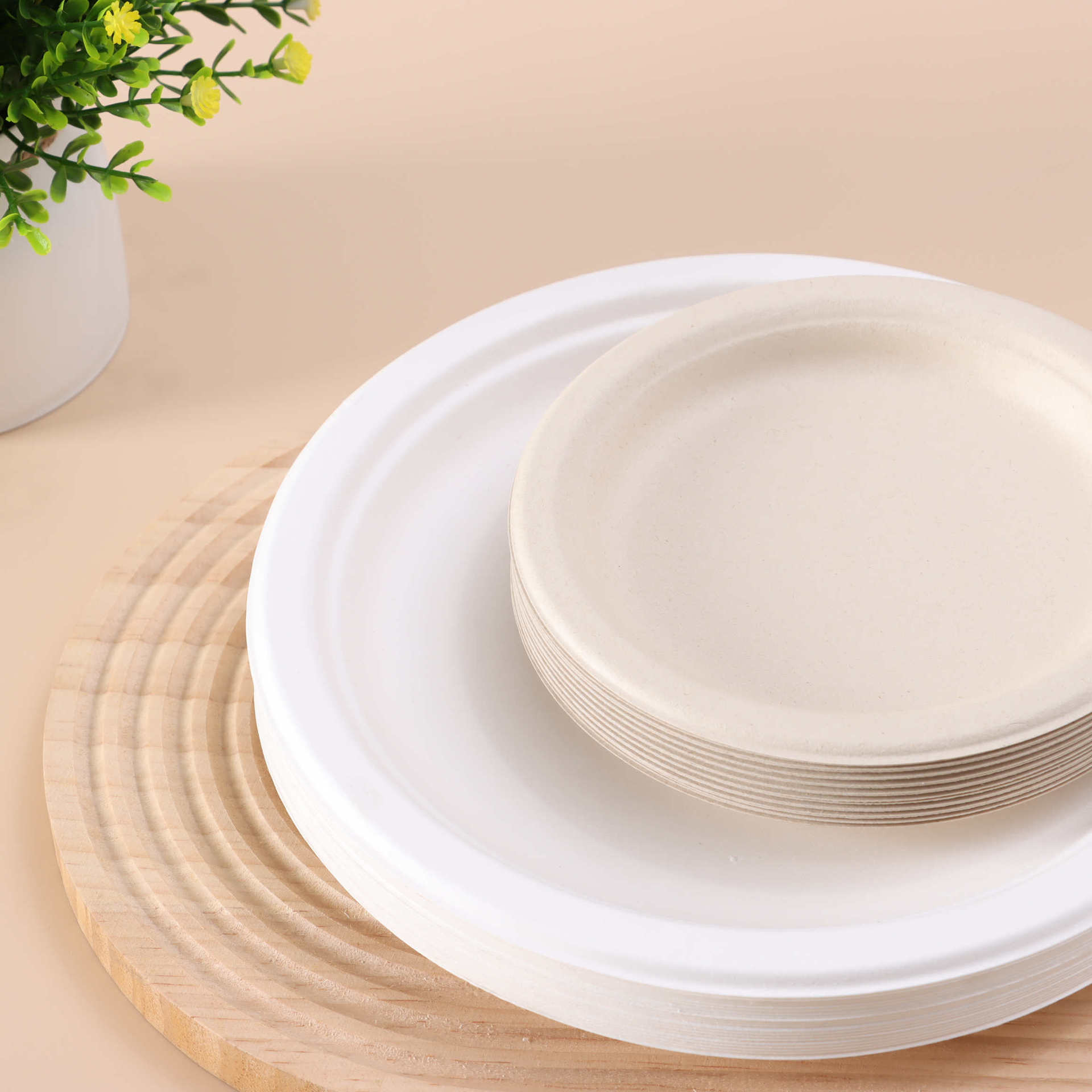 Compostable Disposable Paper Plates 10 inch 9 inch heavy duty Bagasse plate Biodegradable Eco-Friendly Sugarcane Plates