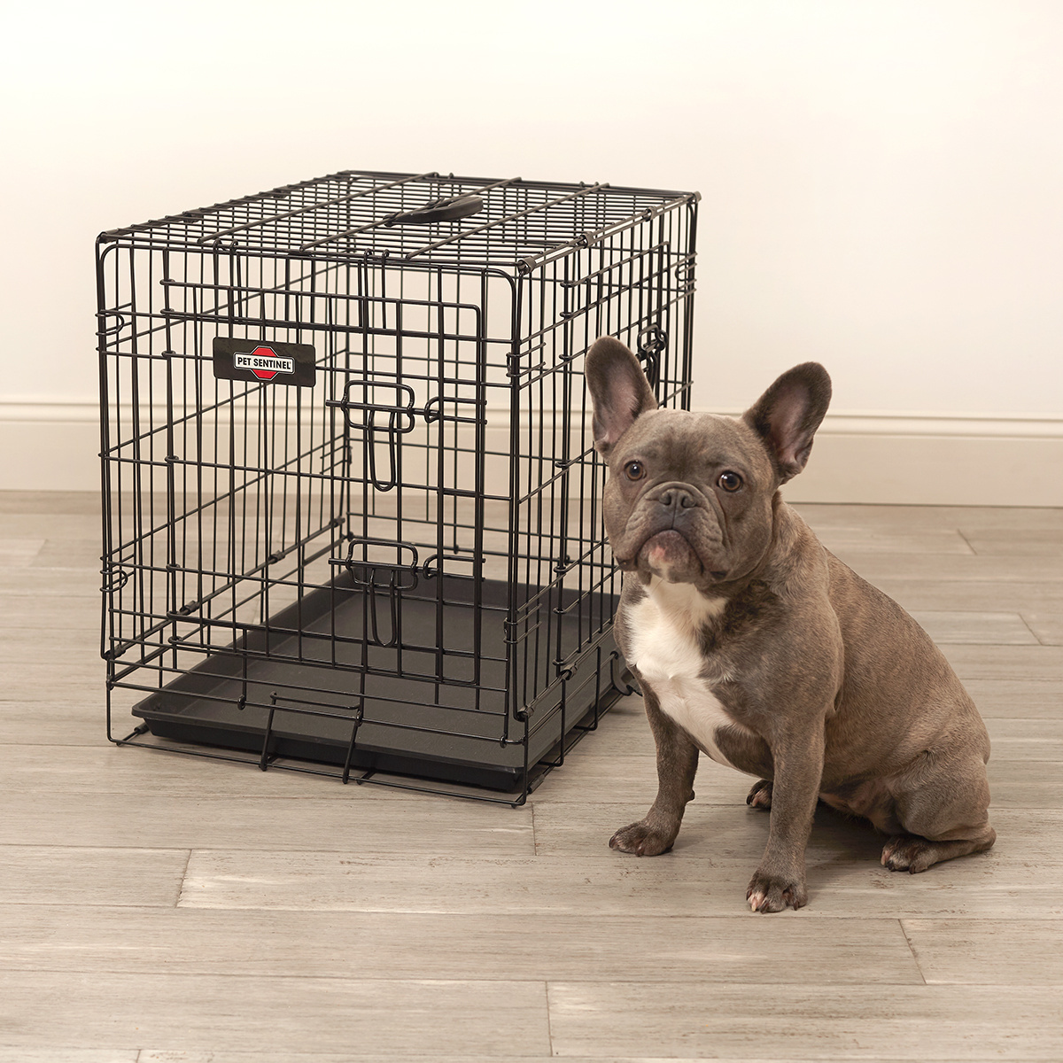 Collapsible Welded Wire Dog Cage Metal Kennel Powder Coated Wholesale Small Medium Pet Puppy Dog Cat Travel Crate For Sale