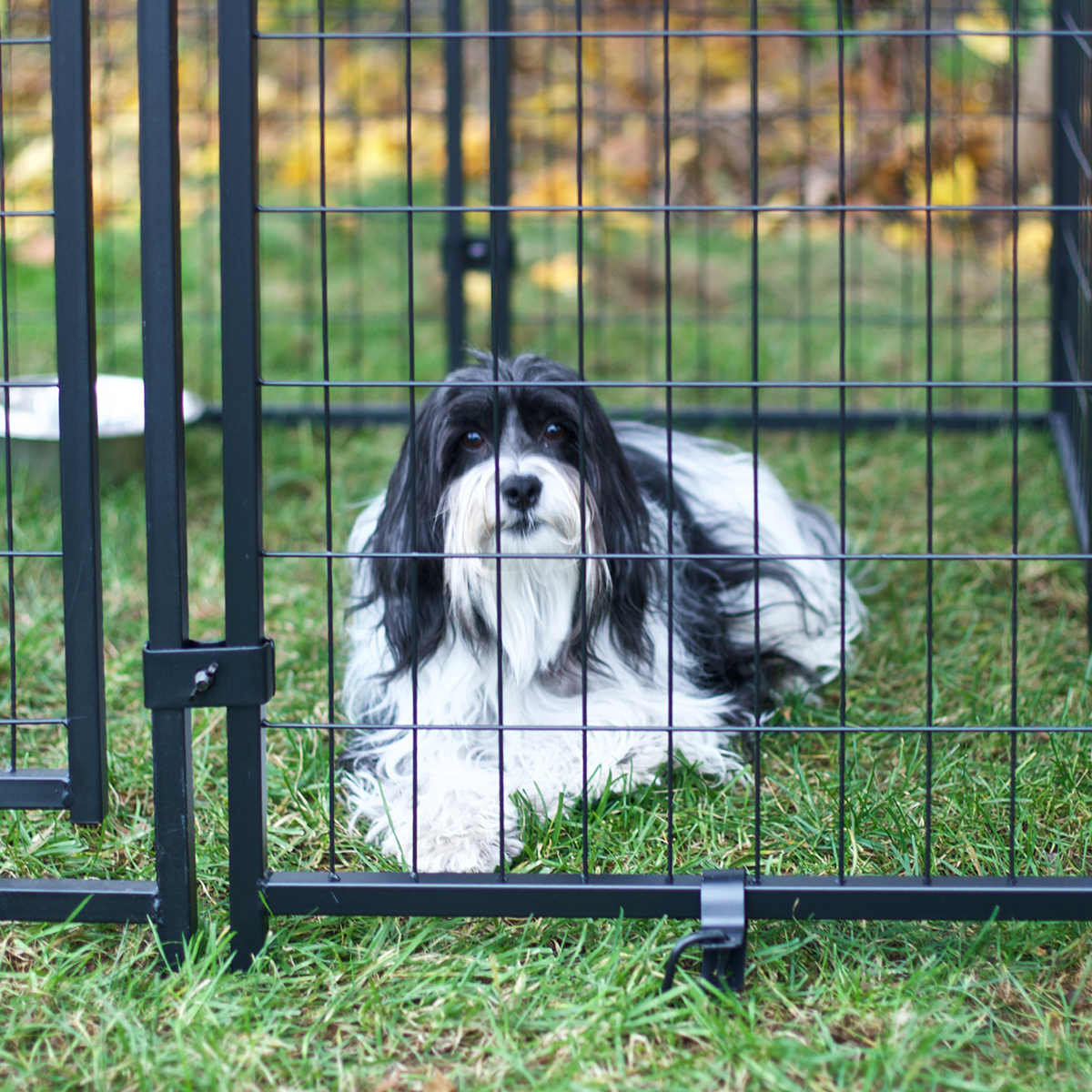 Stackable Large Outdoor Dog Villa Collapsible Strong Metal Kennels For Dogs