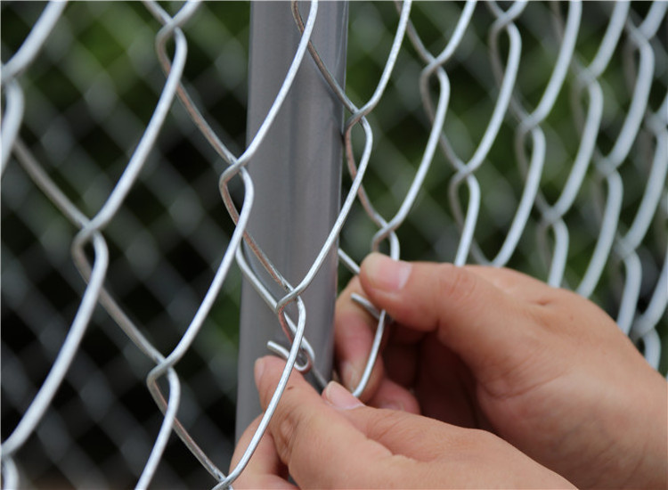 Galvanized Powder Coated Finish Chain Link Outdoor Dog Kennel