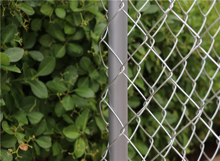 Galvanized Powder Coated Finish Chain Link Outdoor Dog Kennel