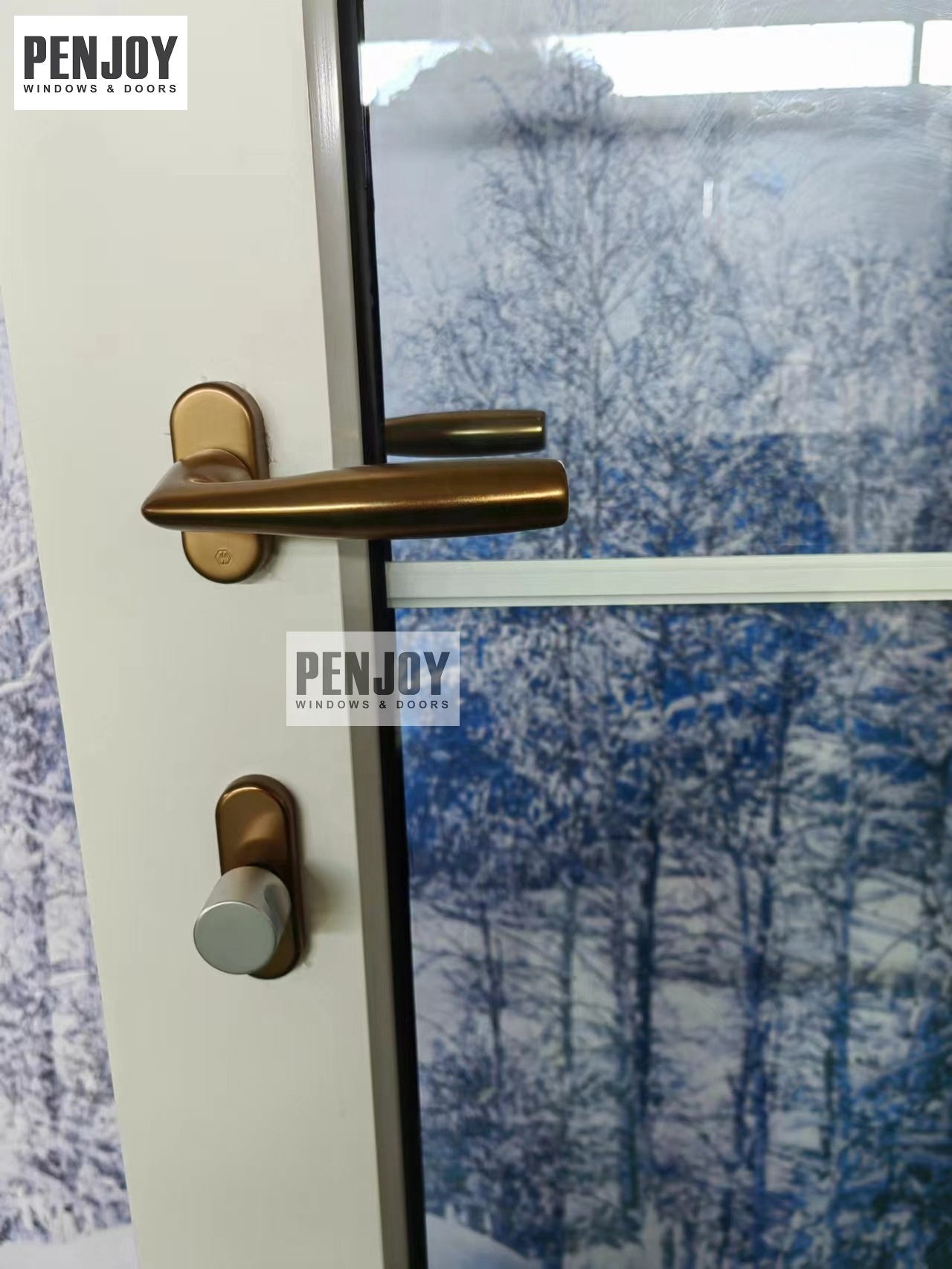 Penjoy manufacture low price Irregular shape wooden double door  swing door composite frame doors with SDLs