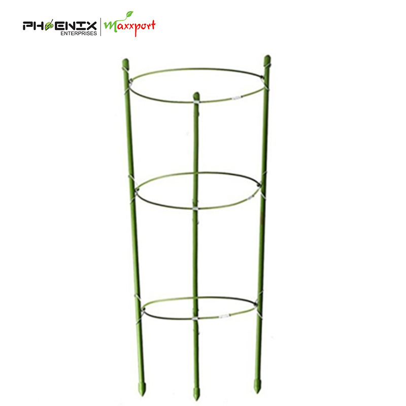 PE coated indoor plant support rings/Foldable Garden plant support rings/Tomato Cage Support Vegetable climbing support