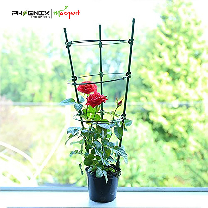 PE coated indoor plant support rings/Foldable Garden plant support rings/Tomato Cage Support Vegetable climbing support