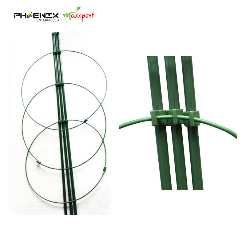 PE coated indoor plant support rings/Foldable Garden plant support rings/Tomato Cage Support Vegetable climbing support