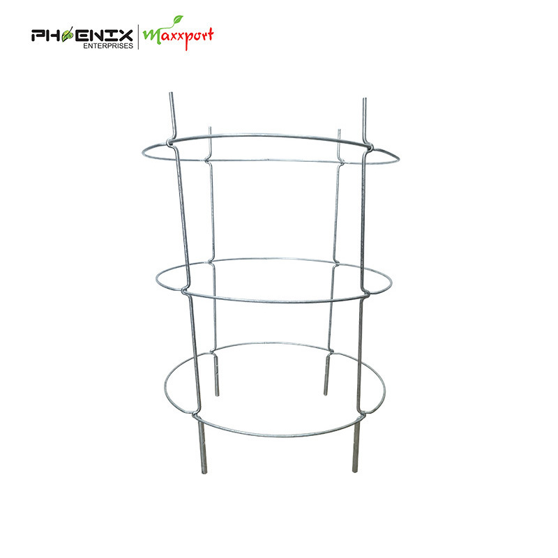 Round Collapsible Tomato  Foldable Tower  Foldable Steel  Climbing Plant support cage