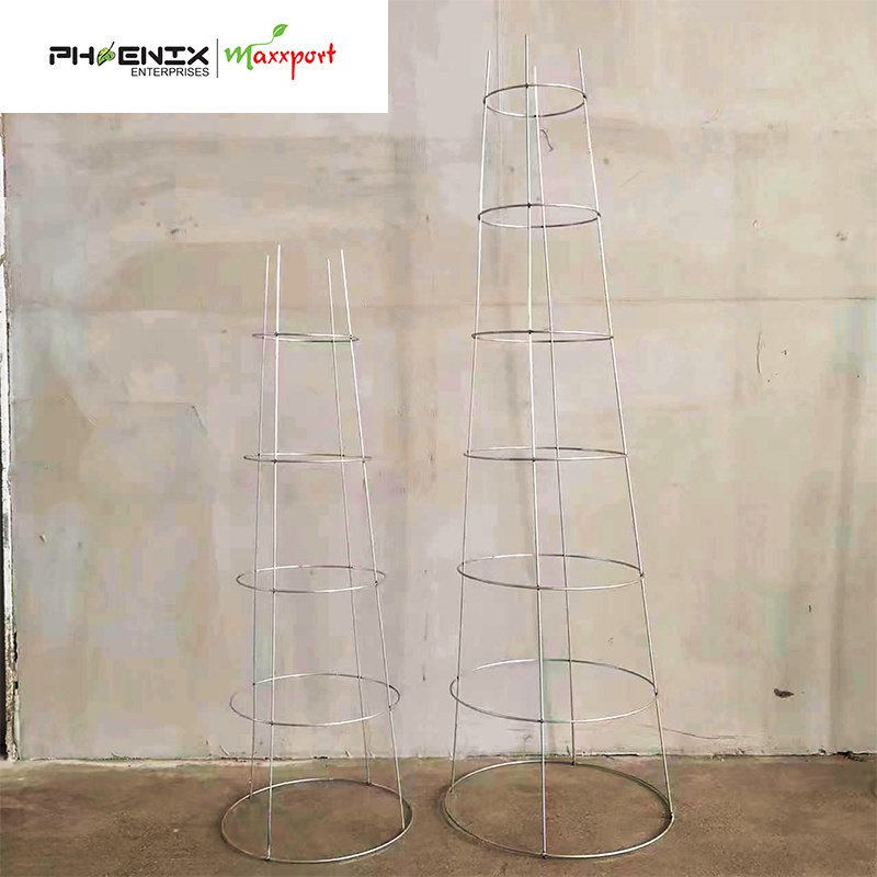 Steel Inverted Tomato Cage Support Vegetable climbing support Galvanized Zinc coating Powder coating