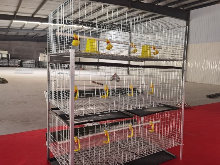 H type baby layer broiler chicken cage day old chick chicken cage