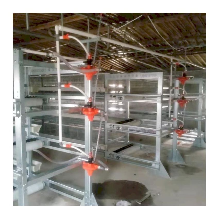 Poultry Farm Broiler Breeding Cages Laying Hens Equipment System Price Egg Chicken Automatic Battery Layer Chicken Cage for Sale