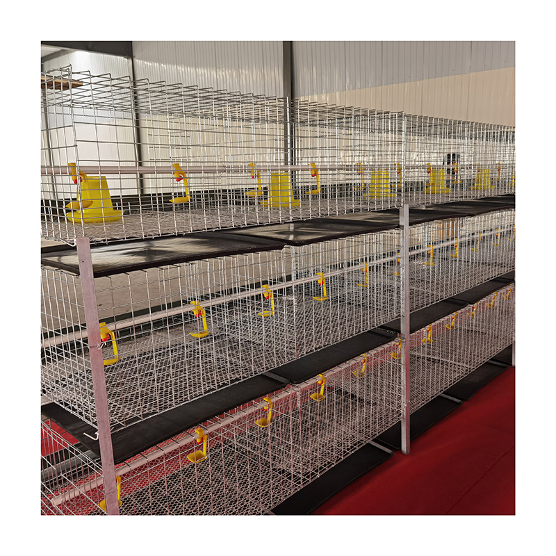 H type baby layer broiler chicken cage day old chick chicken cage