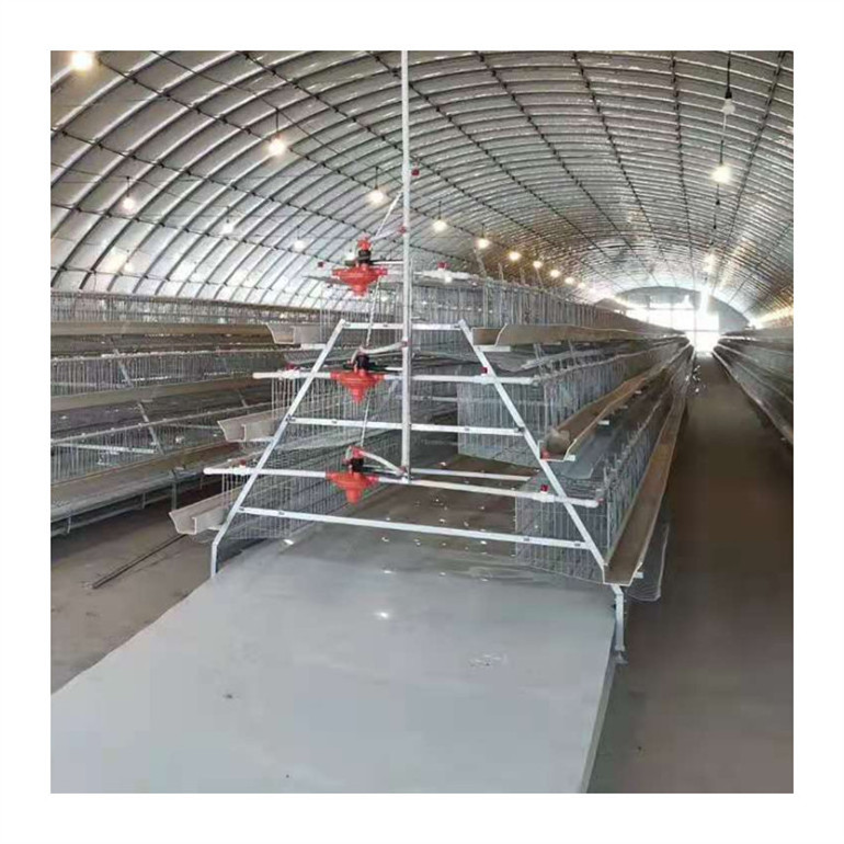 battery used poultry cage for laying hens shed chicken cage for sale