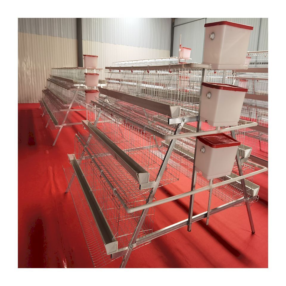 Good service chicken wire mesh chicken coops for poultry farm  made in China