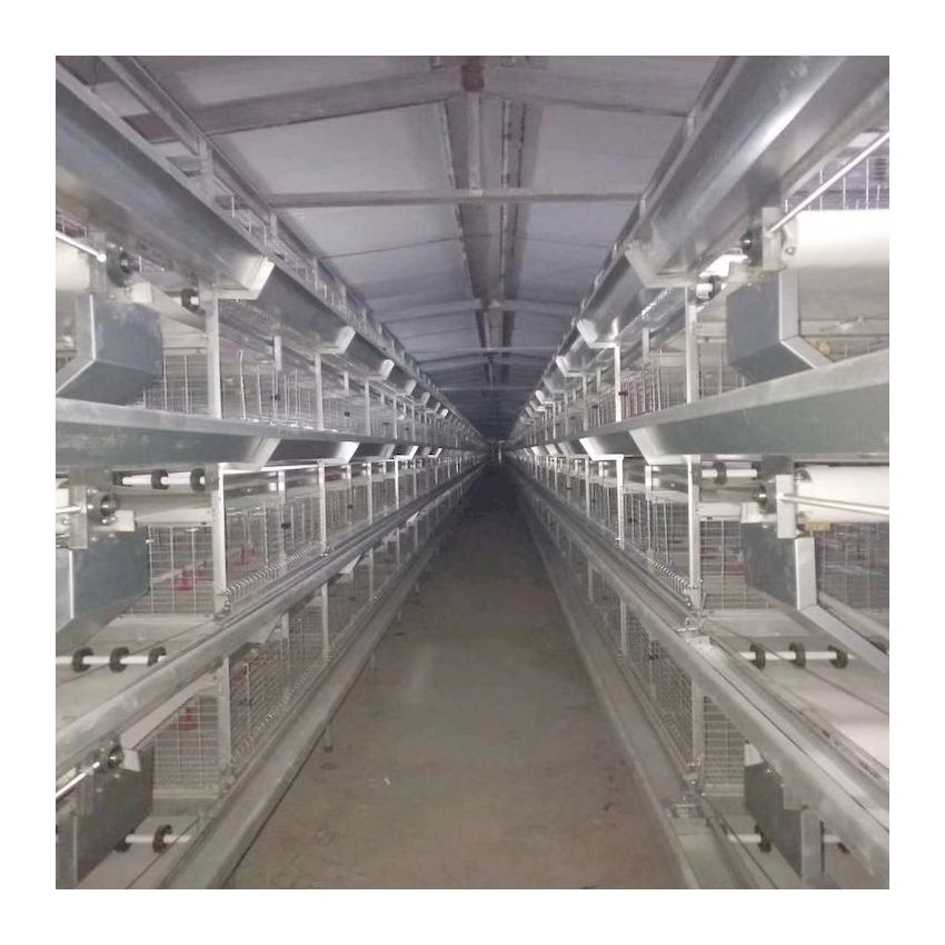 Poultry Farm Broiler Breeding Cages Laying Hens Equipment System Price Egg Chicken Automatic Battery Layer Chicken Cage for Sale