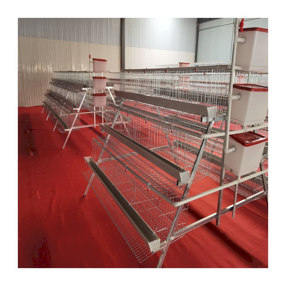 Good service chicken wire mesh chicken coops for poultry farm  made in China