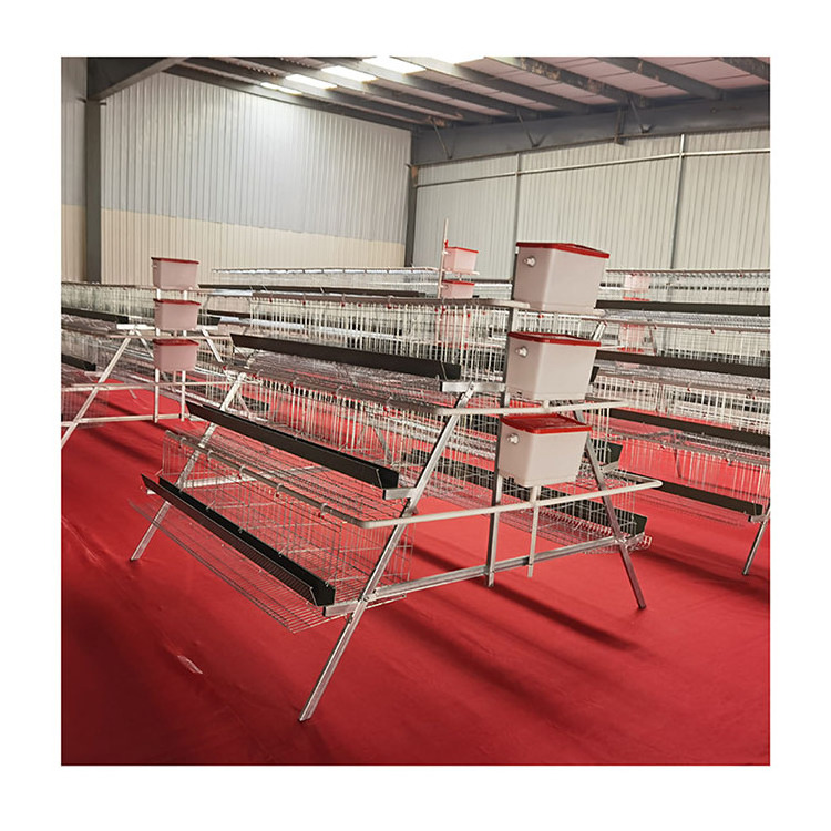 battery used poultry cage for laying hens shed chicken cage for sale