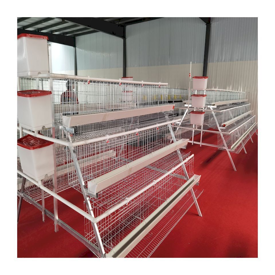 Good service chicken wire mesh chicken coops for poultry farm  made in China