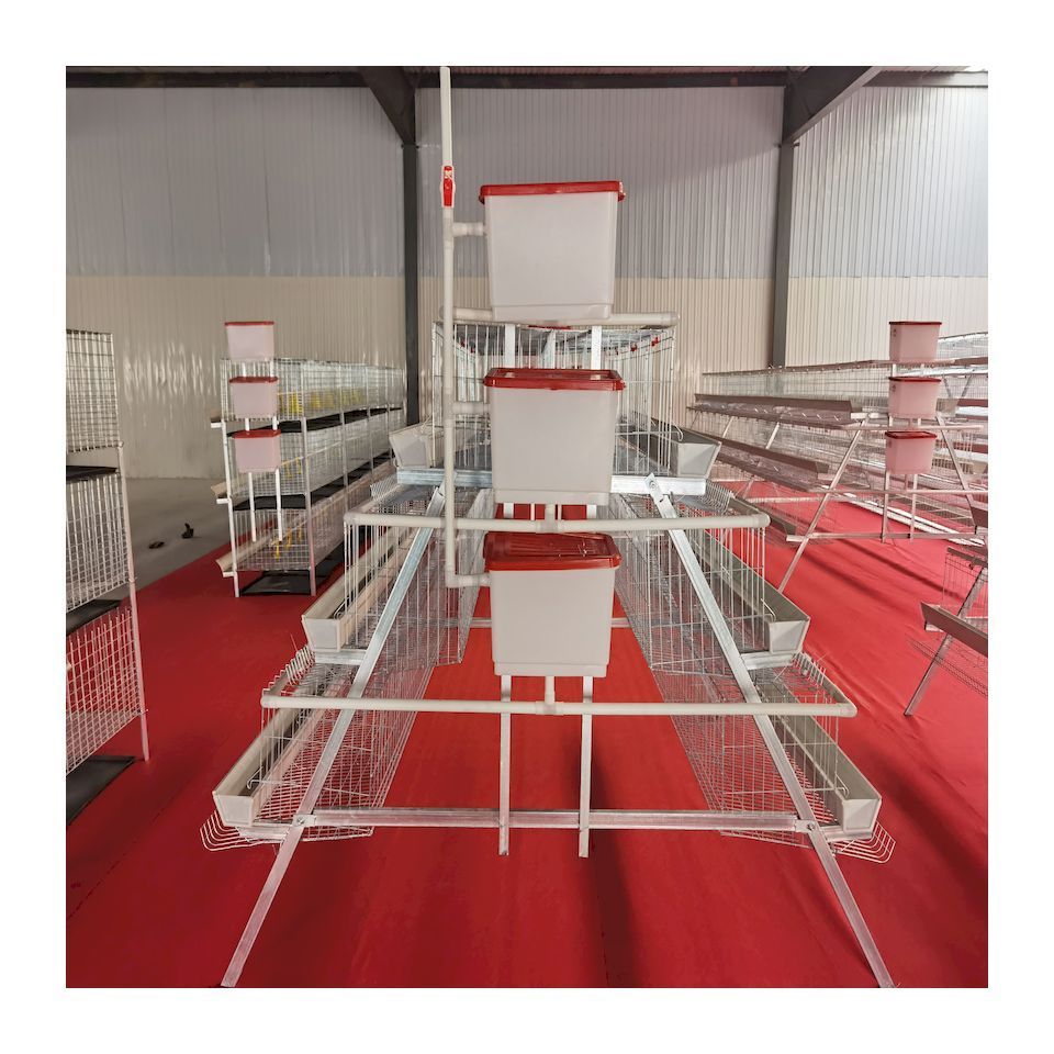 20 years direct manufacturer cages laying hens chicken coop for laying hens metal shed sale