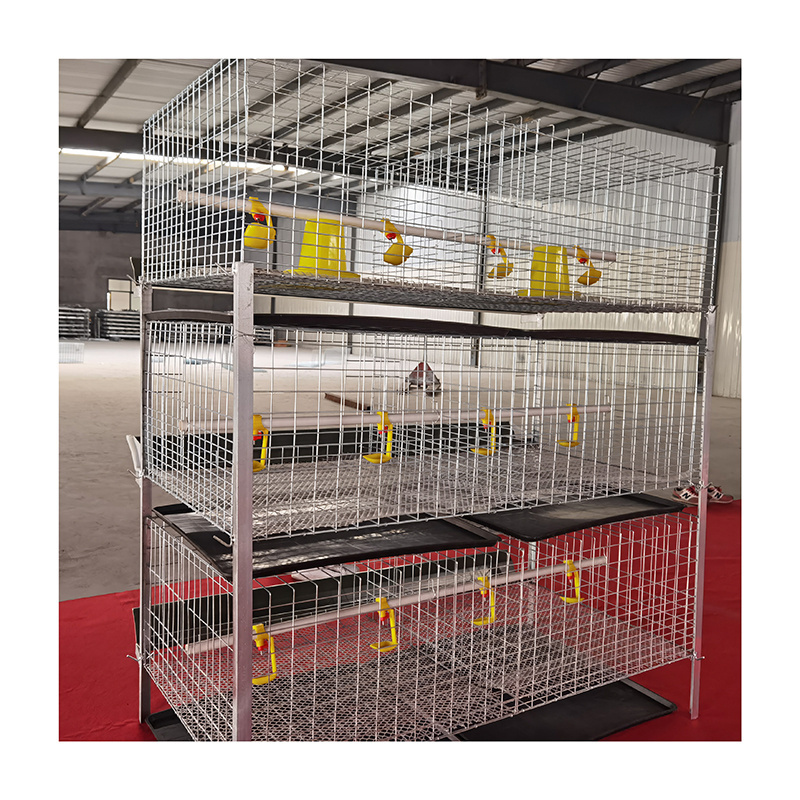 H type baby layer broiler chicken cage day old chick chicken cage