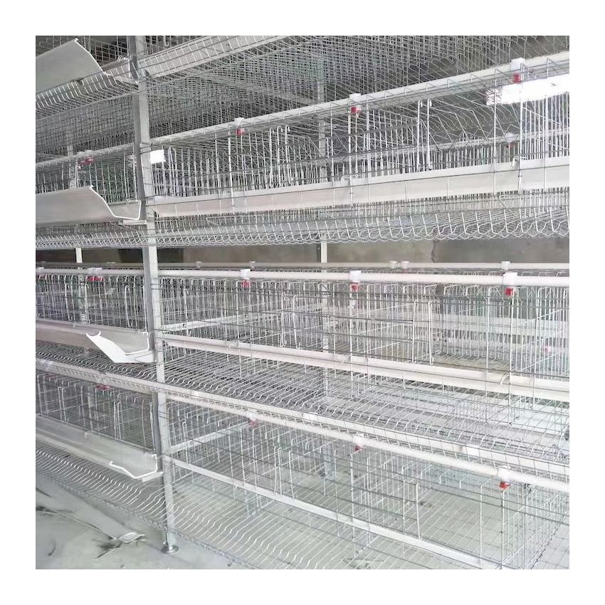 Poultry Farm Broiler Breeding Cages Laying Hens Equipment System Price Egg Chicken Automatic Battery Layer Chicken Cage for Sale