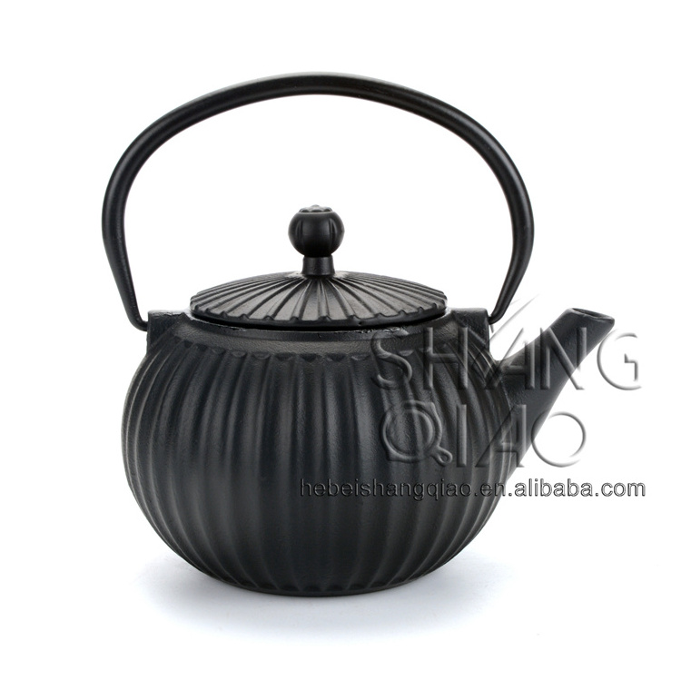 Classical Chinese Iron Cast Teapot, Enamel Cast Iron Tea Kettle, Laser Logo Iron Teapot