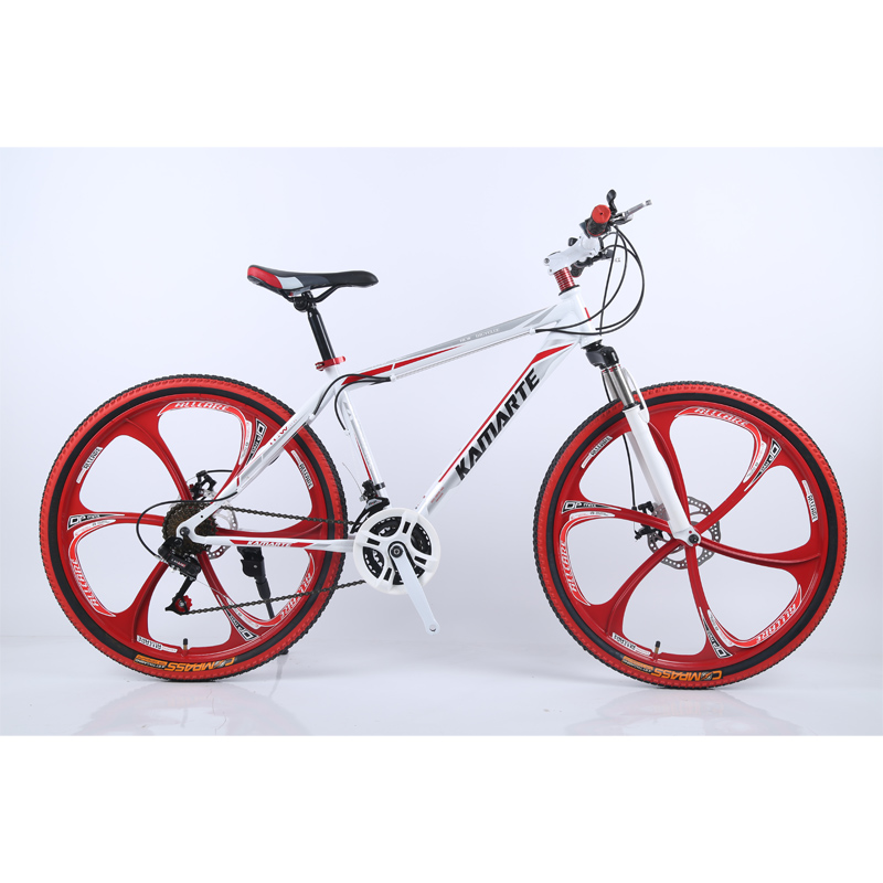 2020 new fat bike 21 speed rin gunsrose cheap suspension 26 x 4.9 tire full size with 24 gears rs2000 fat bike