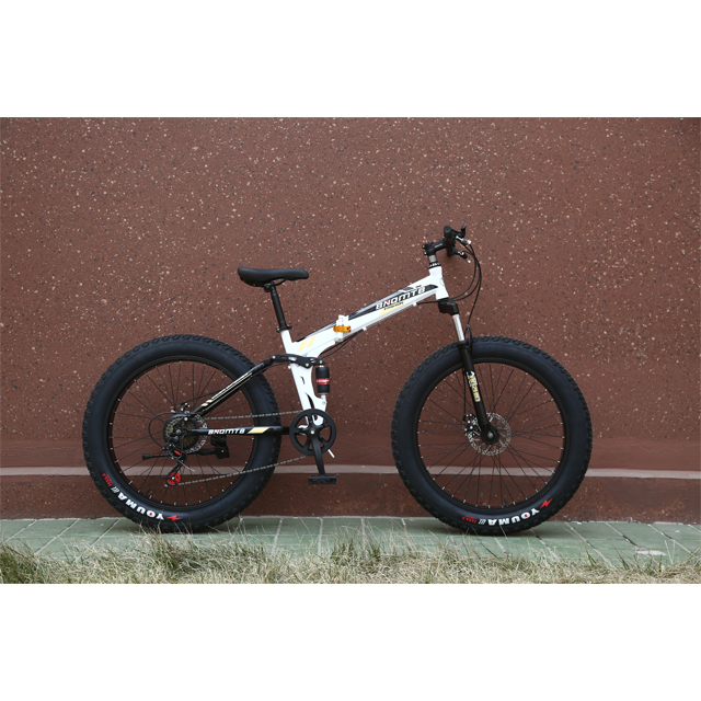 Sidecar sale south africa 29in fat boy mountain bike/tire for usa tyre 26x4 kenda green colour beach bike fat tire