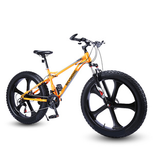 Tourwheel vintage city mountain cycling mtb bike bicycle fat tires fatbike