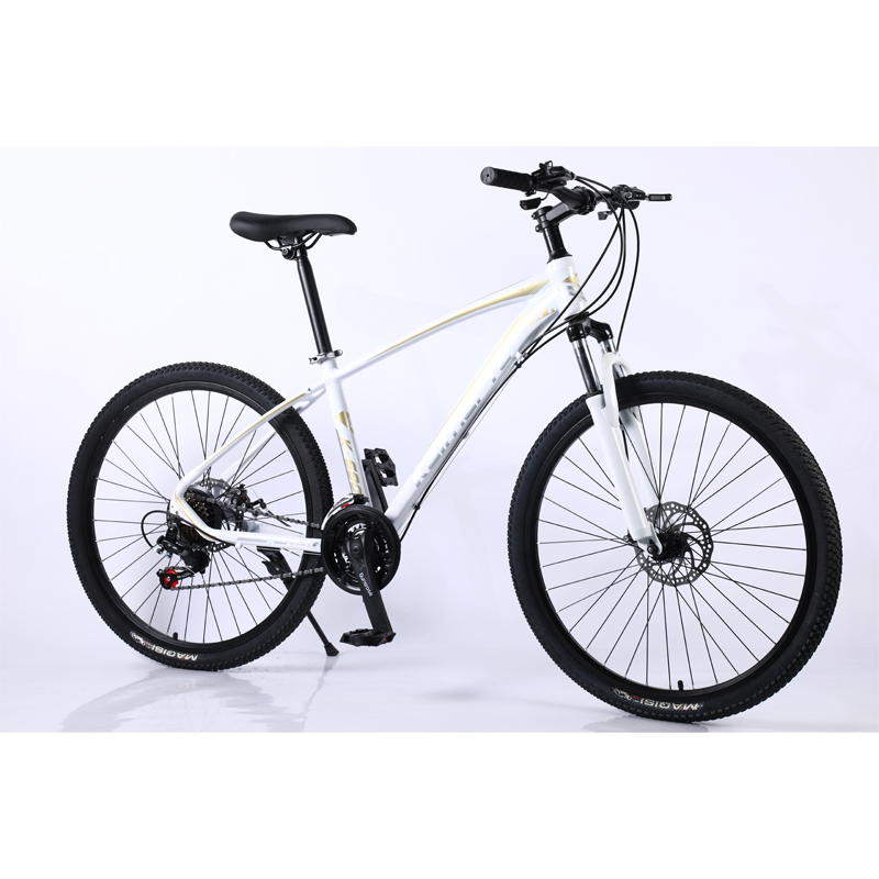 super phantom transmission hydraulic brakes quadro mountain bike fox fork bicycle outdoor 1set saiguan motachie mountain bikes