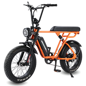 A Hot Sale Oem Foldable Bicicletas Electricas/48v 1000w Exercise Ebike Electric Cycle/20 Inch Folding Bici Eletrica