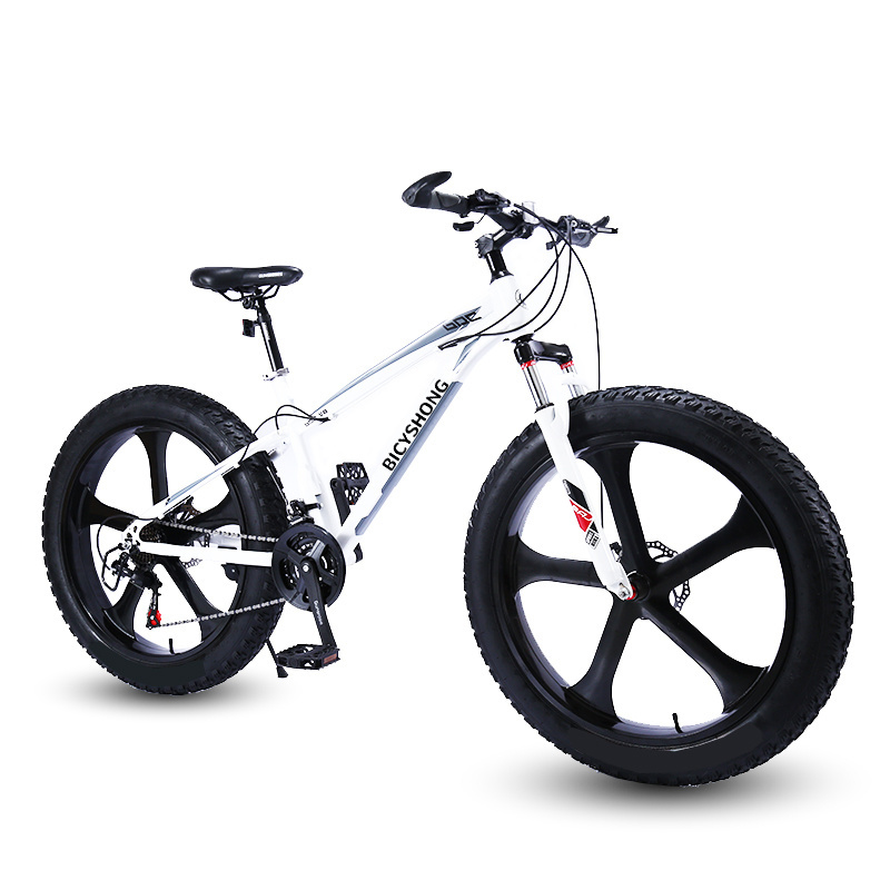 Tourwheel vintage city mountain cycling mtb bike bicycle fat tires fatbike