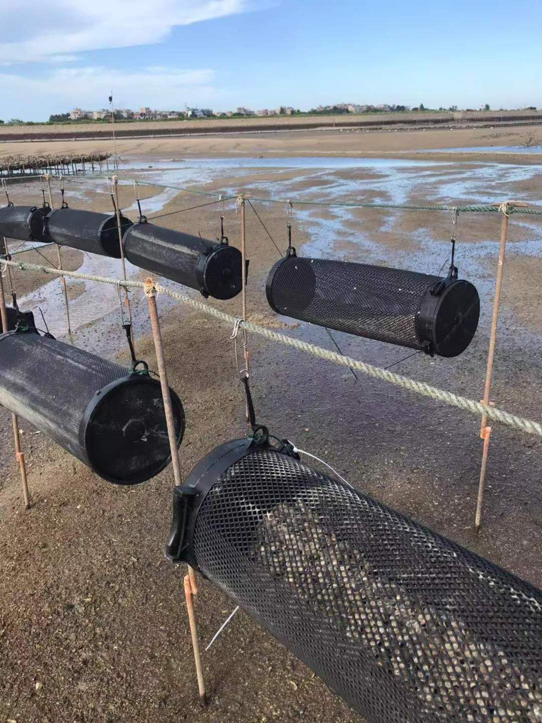 High technology Oyster farm Grow Out Tumblers with High density mesh and lid