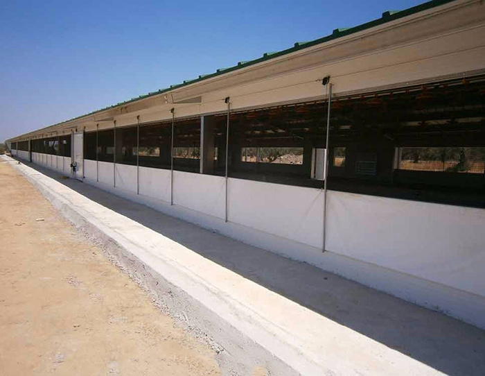 Large span low cost steel structure poultry farm house design broiler chicken coop house