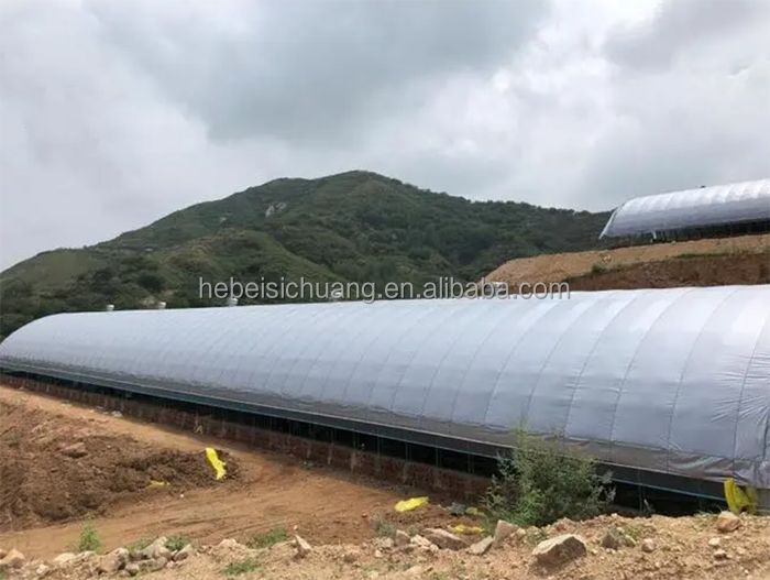 Low cost chicken coop sheds open side poultry house simple poultry house design for layers