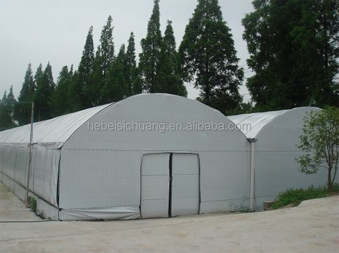 Low cost chicken coop sheds open side poultry house simple poultry house design for layers