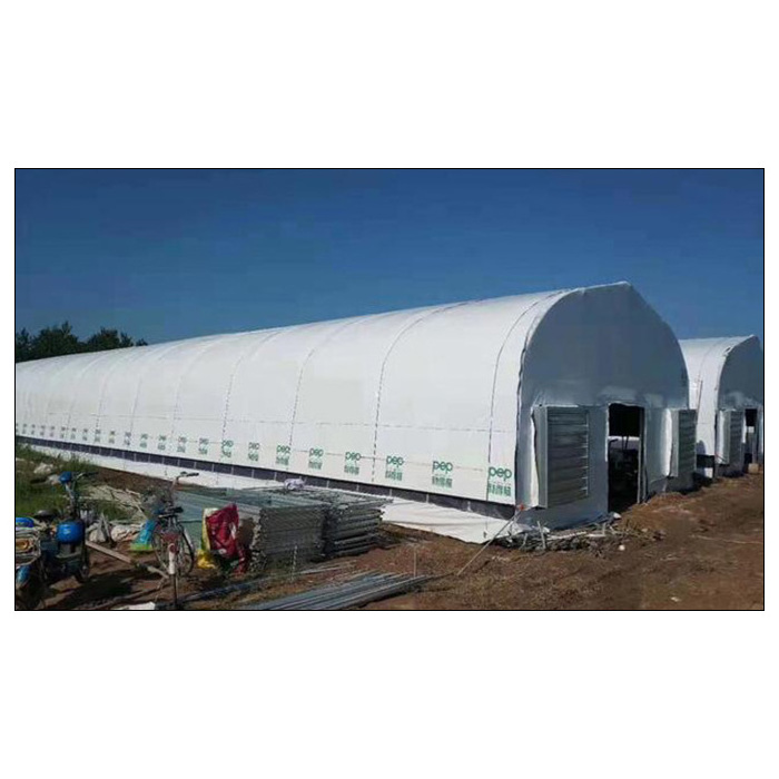 Low cost chicken coop sheds open side poultry house simple poultry house design for layers