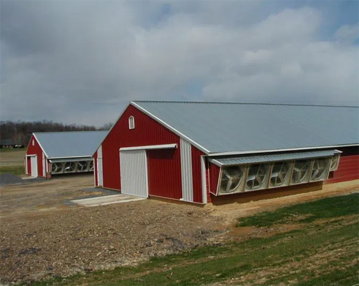 Cheap prefab chicken house buildings chicken coop poultry farm chicken house