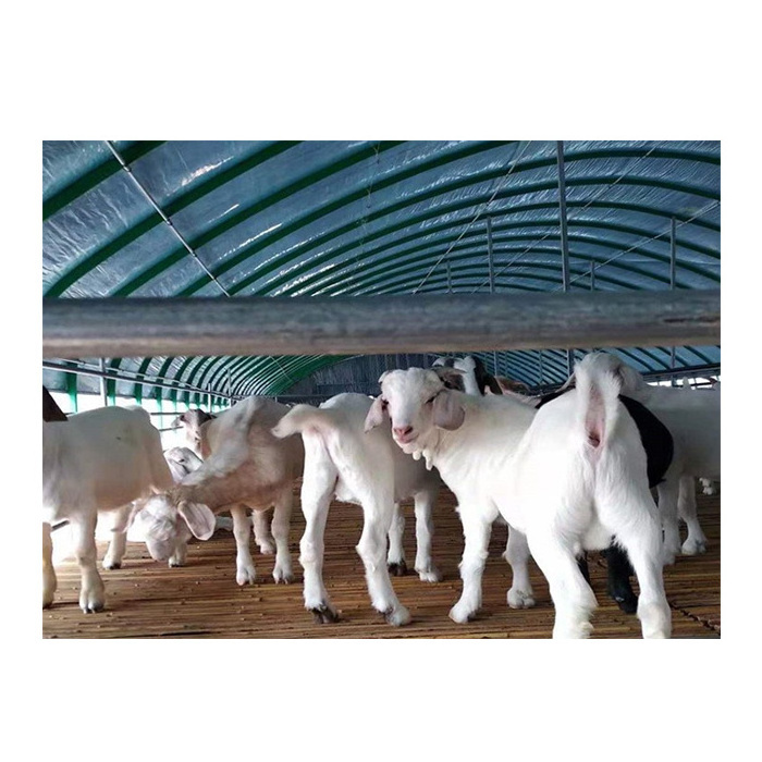 High quality prefab steel frame fabric livestock animal cattle cow horse sheep shelter shed tent for sale