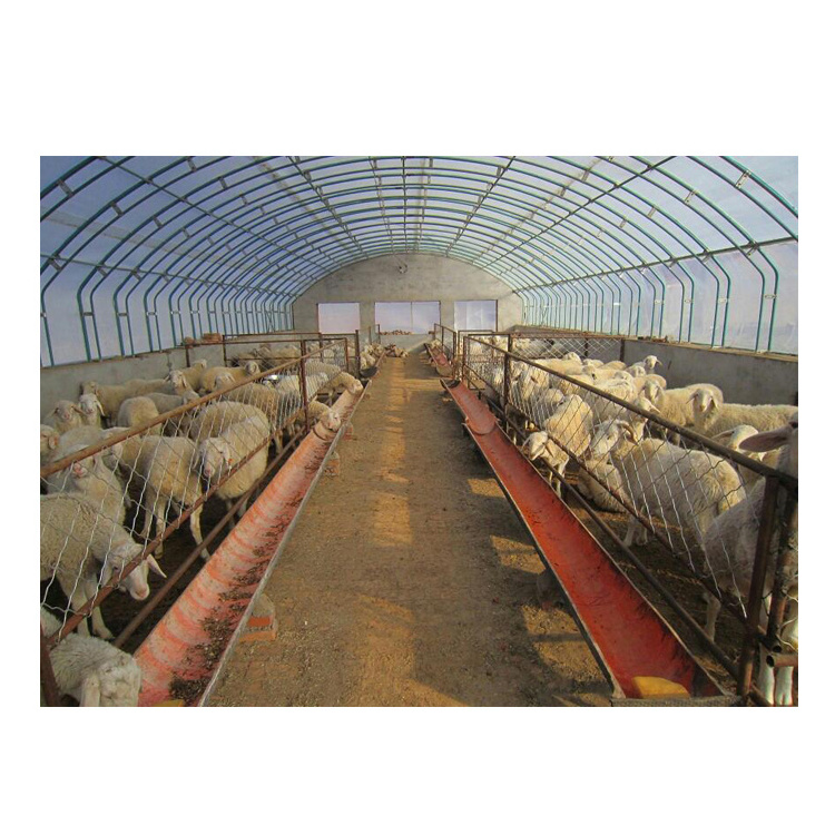 Easy assemble design steel structure goat farm shed prefabricated pig cow sheep shed building