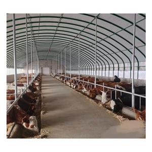 China cheap prefab steel structure cattle dairy cows farm small barn shed building