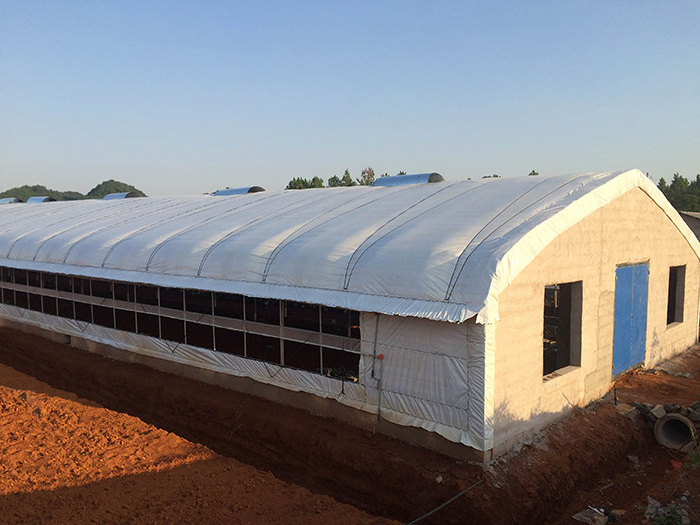 China cheap prefab steel structure cattle dairy cows farm small barn shed building