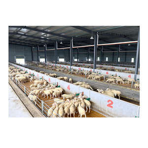 Low cost prefab animal shed steel structure sheep/cattle/pig/cow shed goat farming house